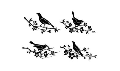 birds, branches, nature, animal, silhouette, flower, wildlife, illustration, vector, art, design, 