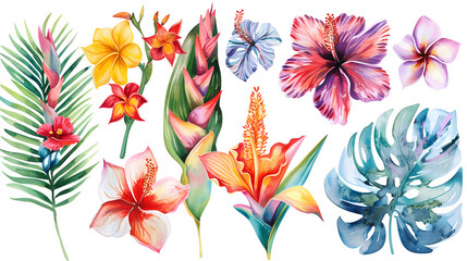 Bright Watercolor Tropical Flower Collection
