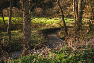 Obraz premium Vinxtbachtal zwischen Bad Breisig und Waldorf, März 2024