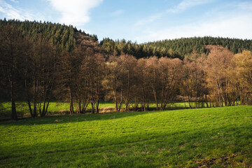 Obraz premium Vinxtbachtal zwischen Bad Breisig und Waldorf, März 2024