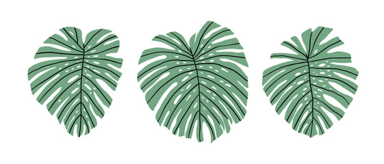 Hand drawn set with tropical leaves. Jungle, rain forest, wildlife. Vector illustration in flat style.