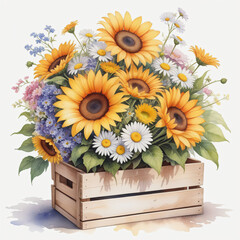 Drawing of sunflower in wooden crate on white background