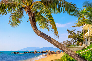 View of the shore of the South China Sea with a sandy beach, large rocks and green palm trees....