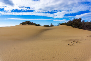 Maspalomas Dunes on Gran Canary Island Spain.