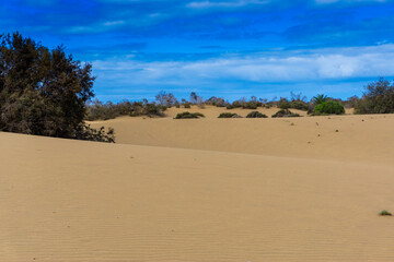 Maspalomas Dunes on Gran Canary Island Spain.