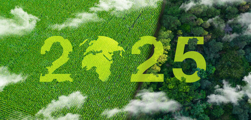 Year 2025 globe earth ball europe and asia sustainable development and environment, social, governance concept. Farming and woodland industry landscape from above. Field and Forest.