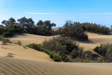 Maspalomas Dunes on Gran Canary Island Spain.