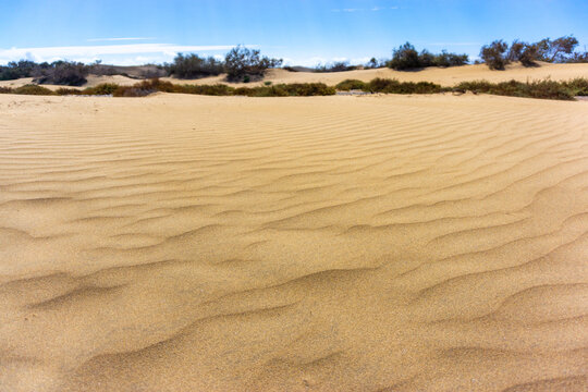 Maspalomas Dunes on Gran Canary Island Spain