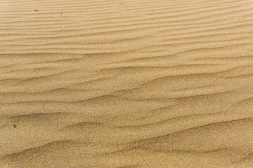 Maspalomas Dunes on Gran Canary Island Spain