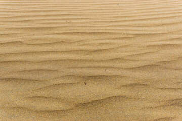 Maspalomas Dunes on Gran Canary Island Spain
