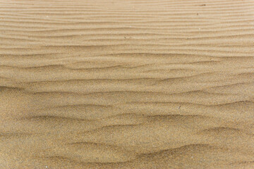 Maspalomas Dunes on Gran Canary Island Spain