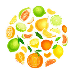 Citrus Fresh Juicy Bright Round Composition Design Vector Template