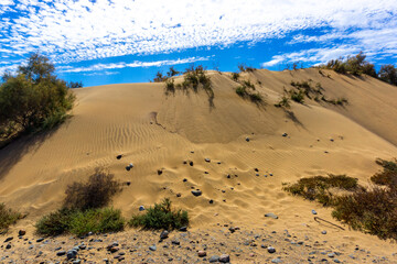 Maspalomas Dunes on Gran Canary Island Spain