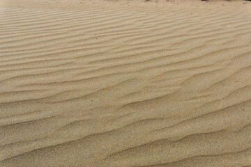 Maspalomas Dunes on Gran Canary Island Spain