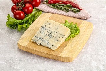 Gourmet blue cheese with mold