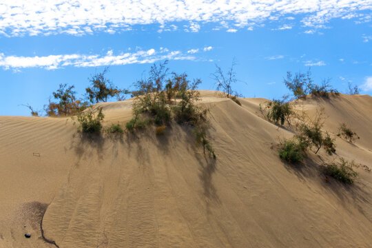 Maspalomas Dunes on Gran Canary Island Spain