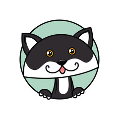 Cute Black And White Cat In Circle