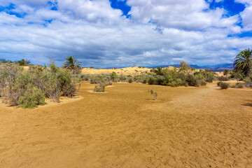 Dunes and Coastline of Maspalomas on Gran Canary Island