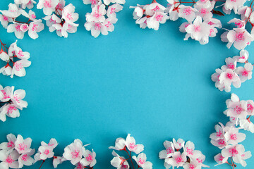 Fototapeta na wymiar White jasmine flowers on the blue background. Summer or spring background. Copy space.