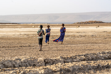Djibouti,  Afar shepherds walking at the lake Abbé