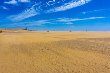 Dunes and Coastline of Maspalomas on Gran Canary Island