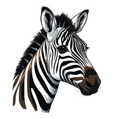 Fototapeta na wymiar Striking Zebra Clipart Clipart isolated on white background