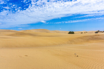 Dunes and Coastline of Maspalomas on Gran Canary Island