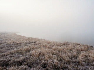 Withered grass in the foreground in frost. Morning of a swampy.