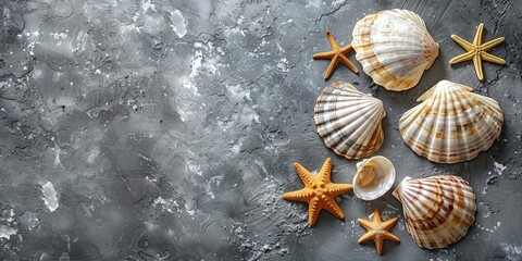 shells and starfish creating a frame, copy space banner
Concept: design of tourist brochures, beach shops, summer promotions and campaigns related to seaside holidays and travel. - obrazy, fototapety, plakaty