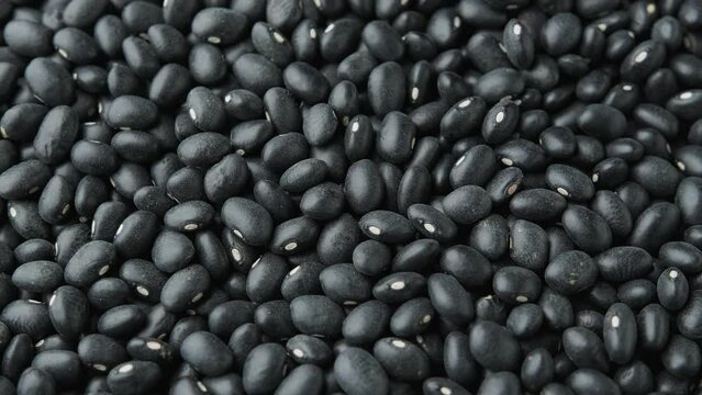 Raw close up black turtle beans background. Rotating video