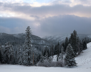 Snowy mountain day it the Blue Mountains of Eastern Washington