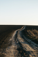 Fototapeta na wymiar a dirt road in the field that leads to nowhere