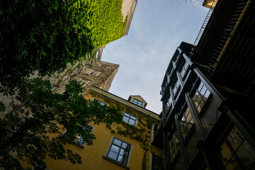 Fototapete bei efototapeten.de bestellen   