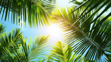 Serenity in Nature, Silhouetted Palm Leaves under Azure Skies
