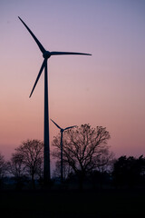 Windkraftanlagen im Sonnenuntergang mit Bäumen im Wald und Krähen