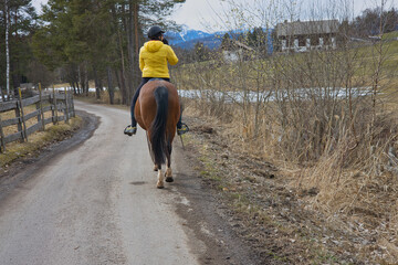 Cavallo e fantino in passeggiata nel bosco sulla strada