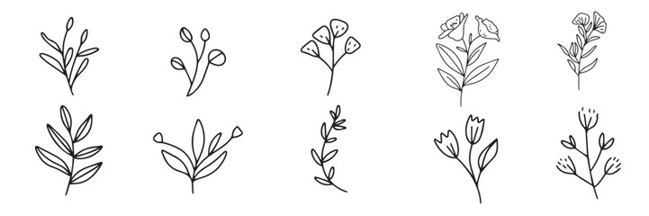 Collection of flower in doodle style. Hand drawn vector art.