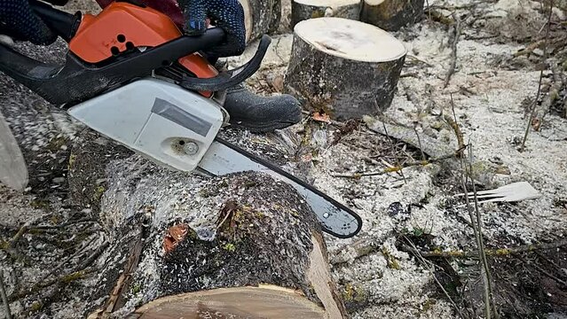 Sawing a tree log with a chainsaw in slow motion