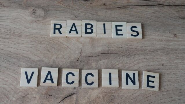 Rabies Vaccination concept. Rabies is a viral disease that causes encephalitis in humans and other mammals