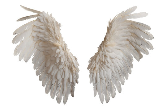 Realistic Celestial white angel wings PNG isolated on a white and transparent background - heavenly ascension seraphic guardian angelic feathers