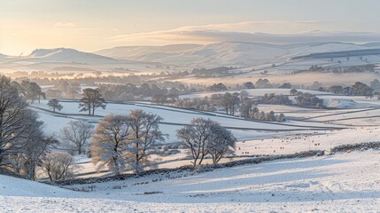 A winter scene featuring snow-covered trees and hills in the background.