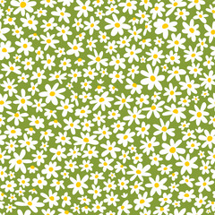 Seamless pattern with daisy flowers on green background