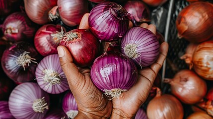 Hand holding red onion with blurred background, onion selection with space for text