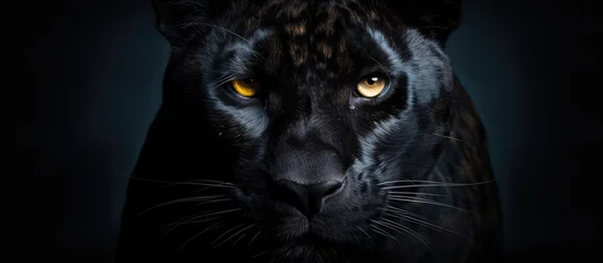 Foto op Plexiglas A Felidae, specifically a black panther, with yellow iris is in the darkness staring directly at the camera. Its whiskers and snout are visible, showcasing its carnivorous nature © 2rogan