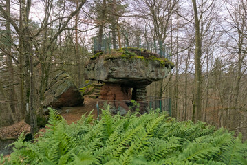 A beautiful sandstone formation in the palatinate forest