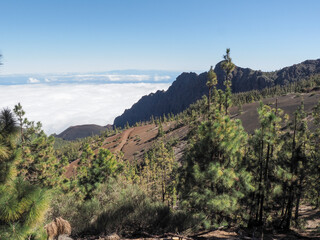 Las Raíces recreational area on the Las Lagunetas mountain