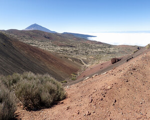 Tenerife, Spain: Teide National Park, landscape