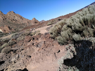 Tenerife, Spain: Teide National Park, landscape