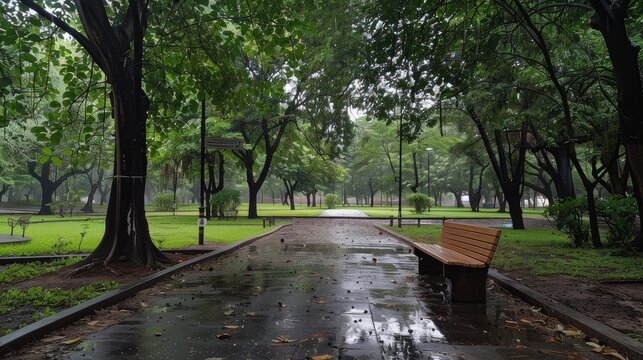 Experience the serenity of nature with our image of a beautiful park featuring trees and a wooden bench on a rainy day. Find tranquility