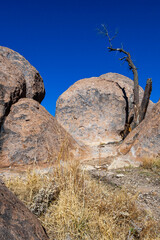 Amazing Rock formations from weathered petrified sedimentary rocks in a rock desert in Rocks State Park, New Mexico
